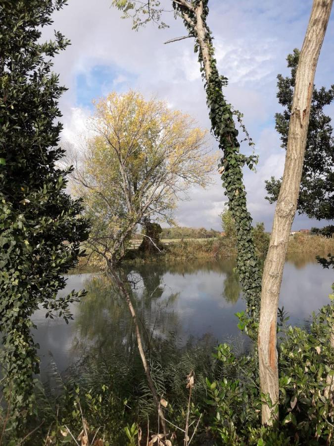 Tenuta Crescentini-Vallemura ,Appartamenti Con Entrata Indipendente San Donà di Piave Zewnętrze zdjęcie