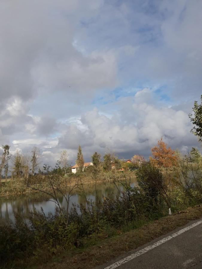 Tenuta Crescentini-Vallemura ,Appartamenti Con Entrata Indipendente San Donà di Piave Zewnętrze zdjęcie