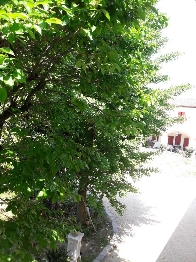 Tenuta Crescentini-Vallemura ,Appartamenti Con Entrata Indipendente San Donà di Piave Zewnętrze zdjęcie