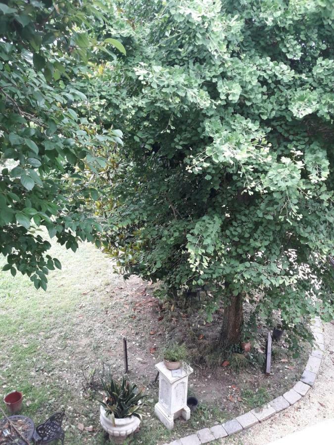 Tenuta Crescentini-Vallemura ,Appartamenti Con Entrata Indipendente San Donà di Piave Zewnętrze zdjęcie