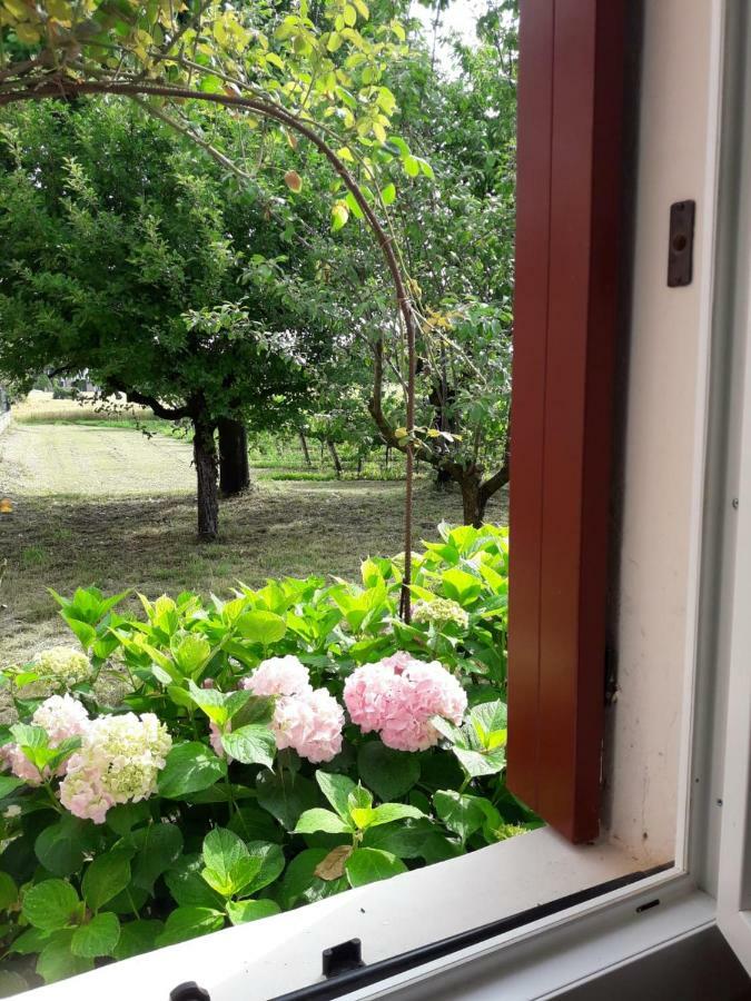 Tenuta Crescentini-Vallemura ,Appartamenti Con Entrata Indipendente San Donà di Piave Zewnętrze zdjęcie