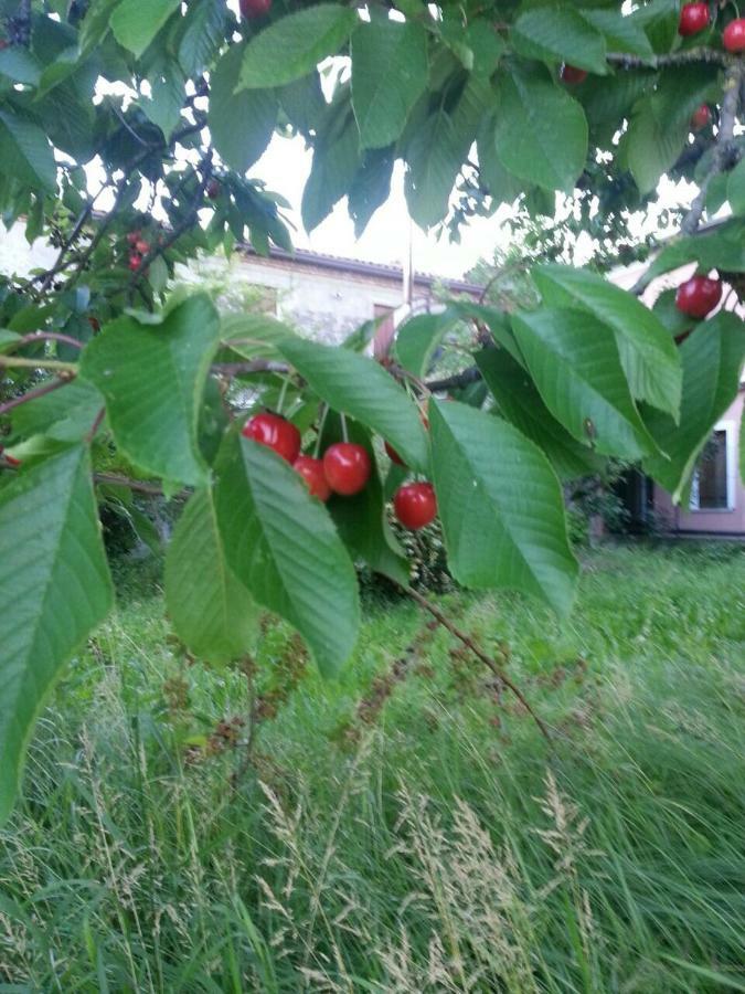 Tenuta Crescentini-Vallemura ,Appartamenti Con Entrata Indipendente San Donà di Piave Zewnętrze zdjęcie